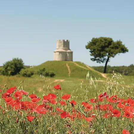 Διαμέρισμα Cozy In Zukve Vrsi