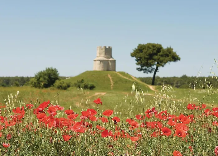 Διαμέρισμα Cozy In Zukve Vrsi